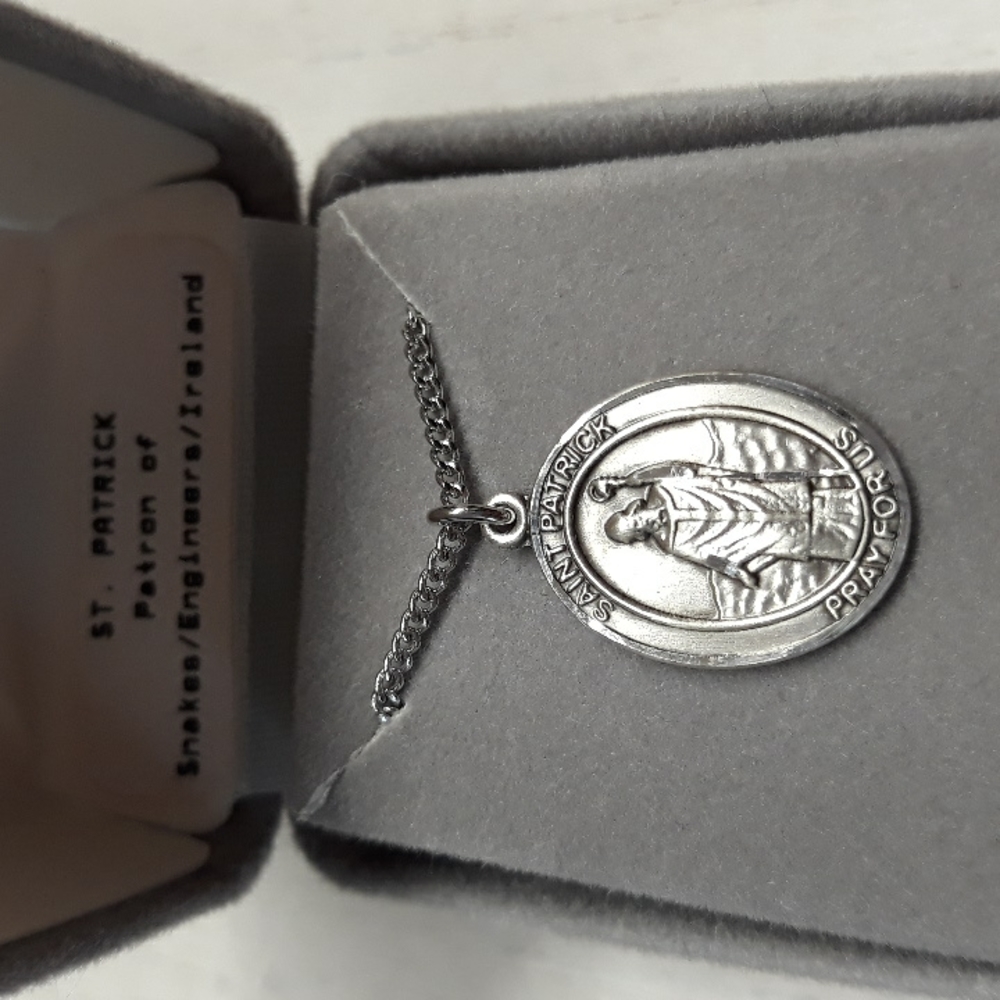 St Patrick Patron Saint Of Snakes Engineers Ireland S… Gem